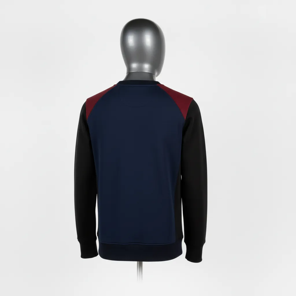 Custom Wrestling Crewneck Sweatshirt - Black, Red - Raglan - Back View - Kinexa Sportswear